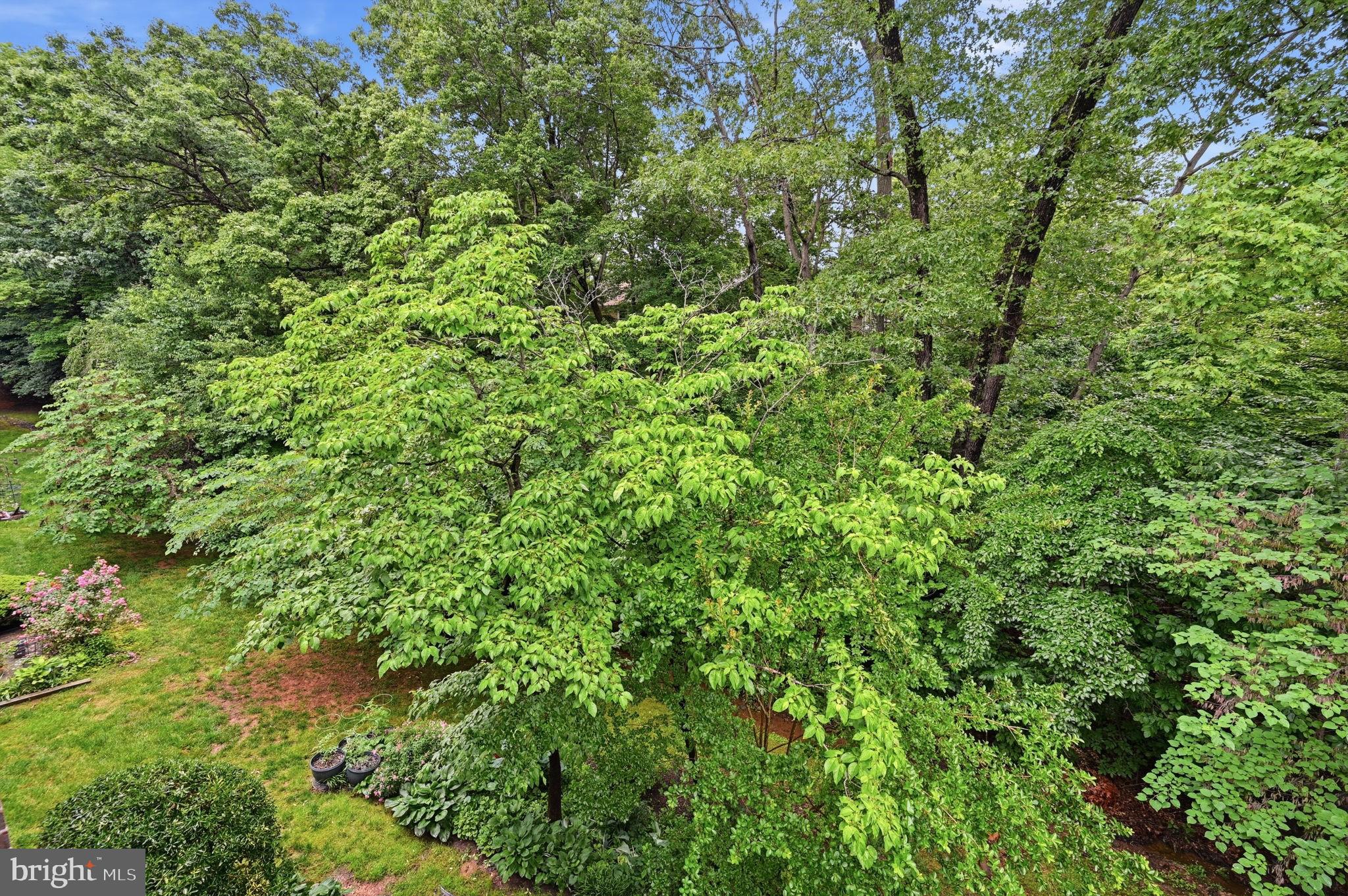 1659 Parkcrest Circle, Unit C Reston, VA 20190 - Photo 11 of 31 a view of a lush green forest
