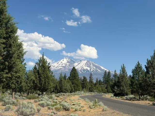 8 2/110 Archer Road Weed, CA 96094 - Photo 3 of 5 Gallery Image 3