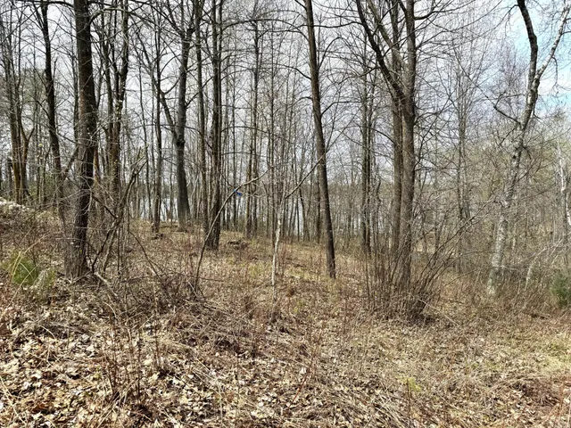 $279,000 | Tbd Tbd Deshayes Drive, Emily, MN 56447