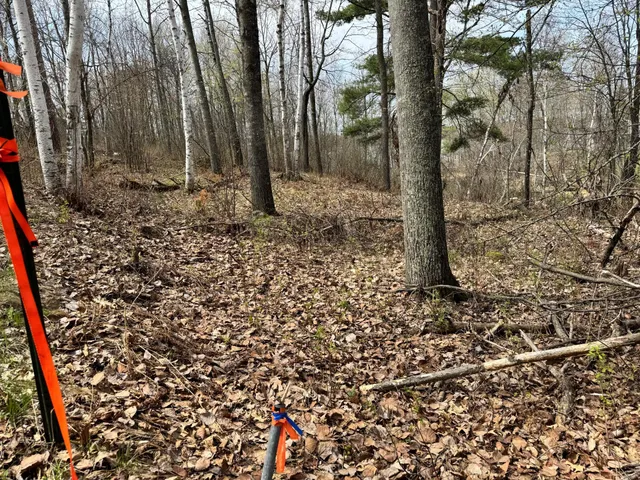 $279,000 | Tbd Tbd Deshayes Drive, Emily, MN 56447