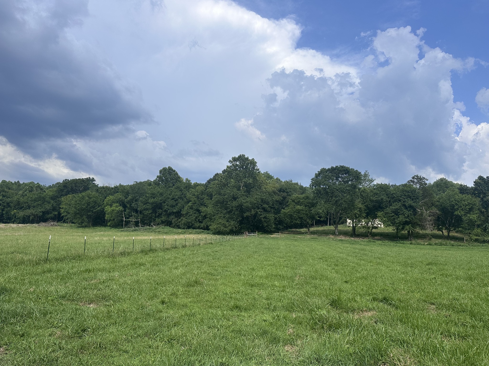0 Lick Creek Road Dover, TN 37058 - Photo 4 of 14