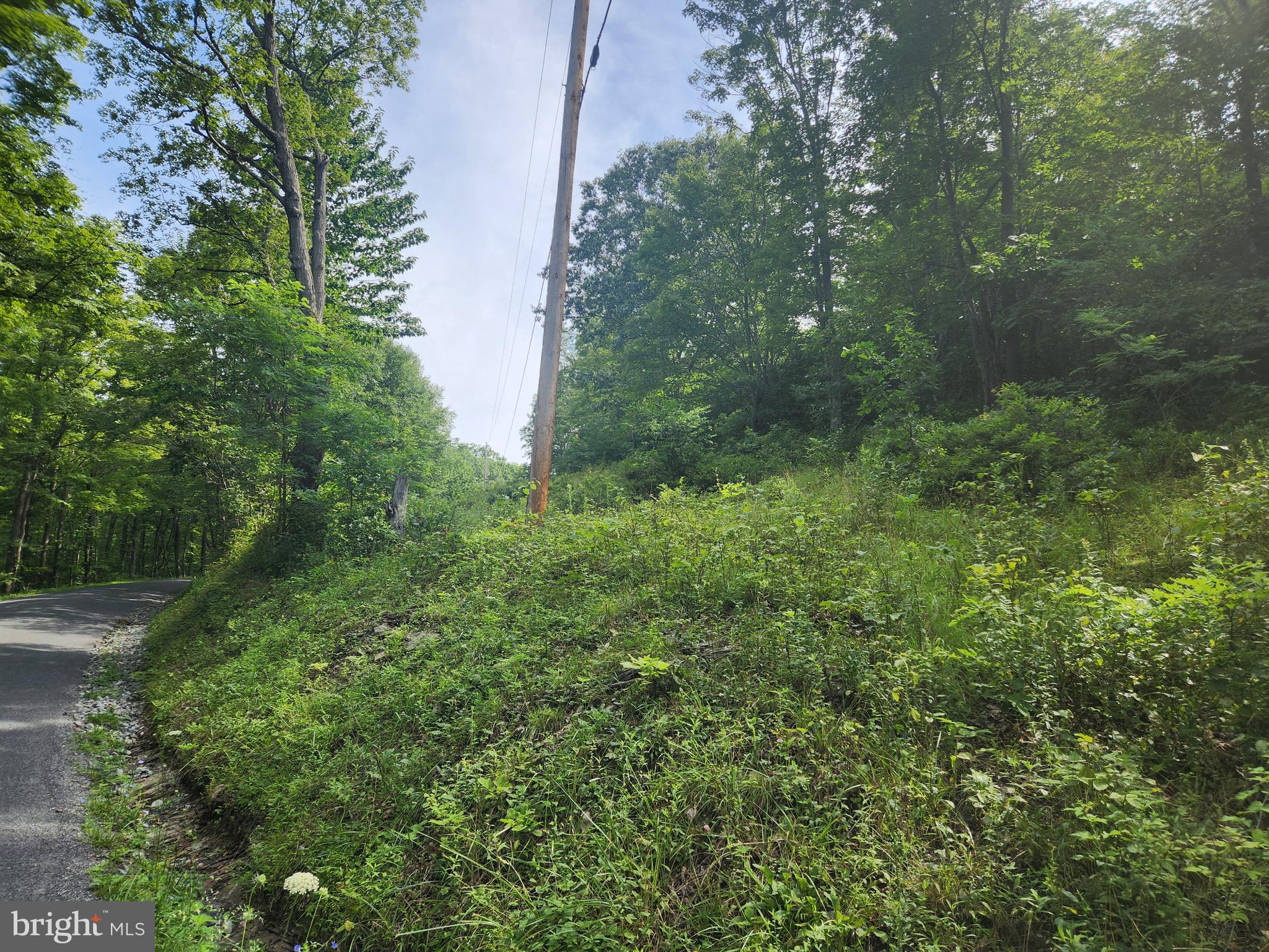 157 Thomas Road Alum Bank, PA 15521 - Photo 11 of 23 a view of a lush green forest