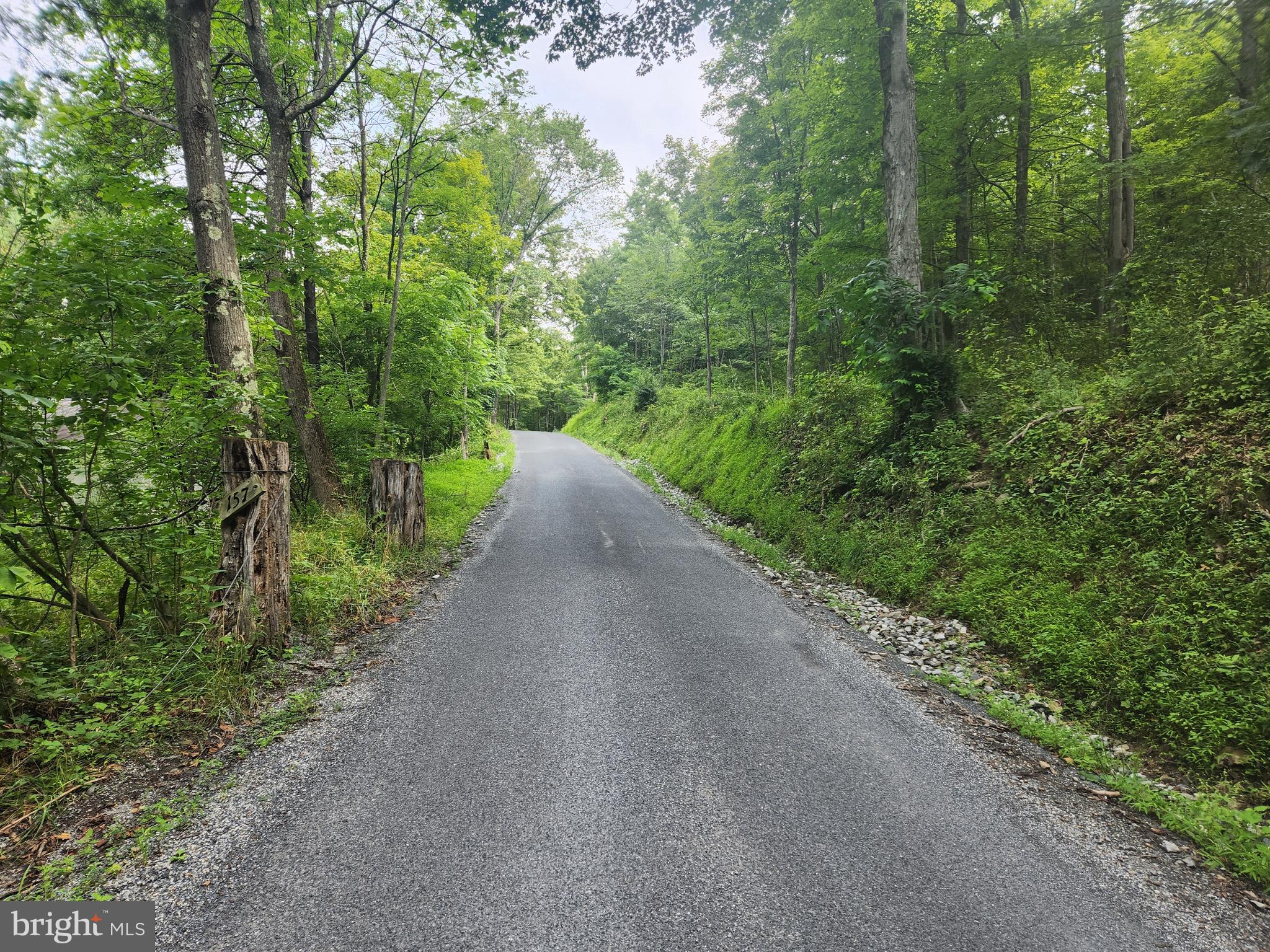 157 Thomas Road Alum Bank, PA 15521 - Photo 14 of 23 a view of a road with plants and large trees