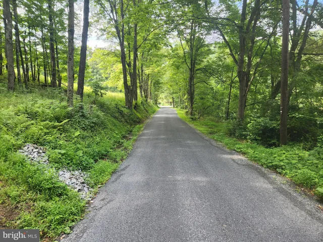 a view of a street view with large trees