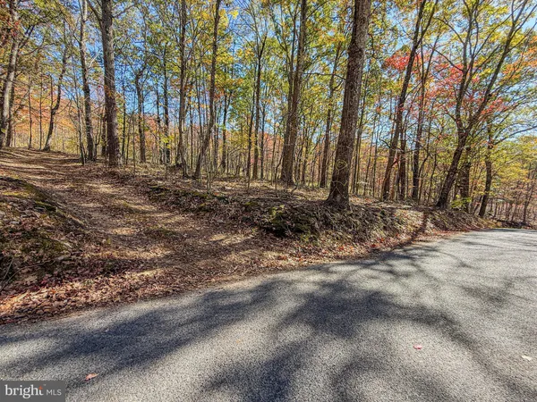 a view of a backyard with large trees
