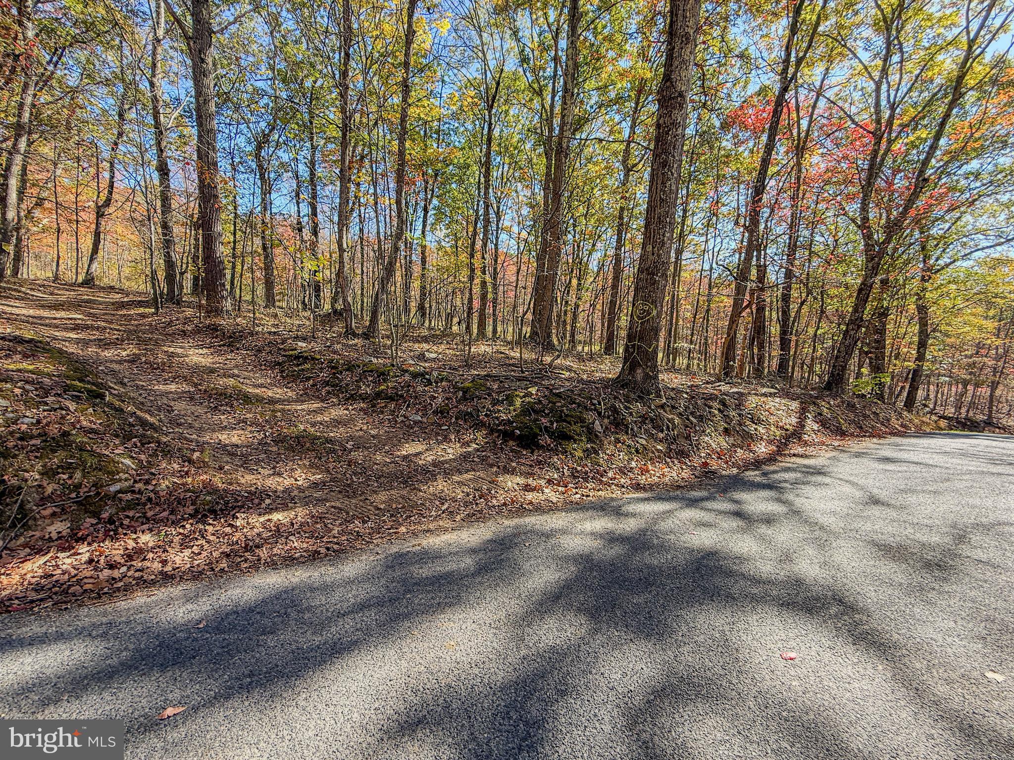 157 Thomas Road Alum Bank, PA 15521 - Photo 3 of 23 a view of a backyard with large trees