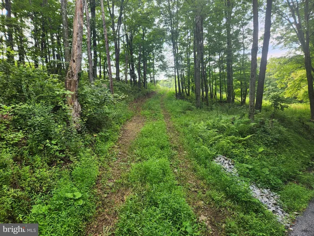 a view of outdoor space and green space