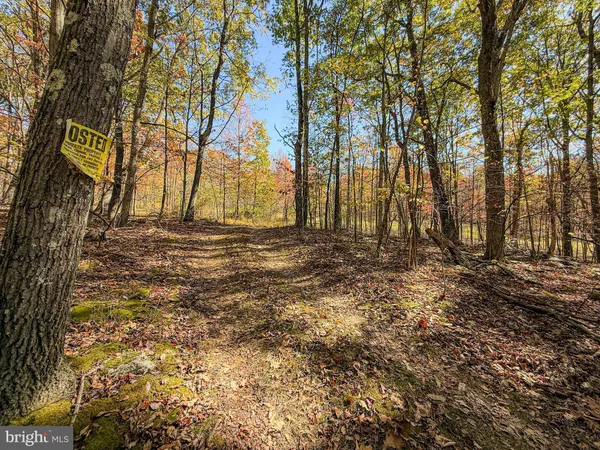 a view of an outdoor space and a yard