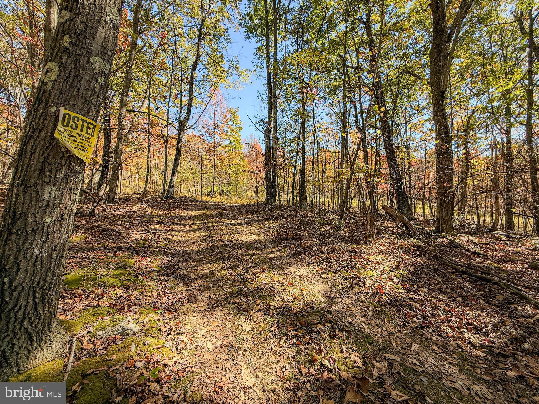 157 Thomas Road Alum Bank, PA 15521 - Photo 5 of 23