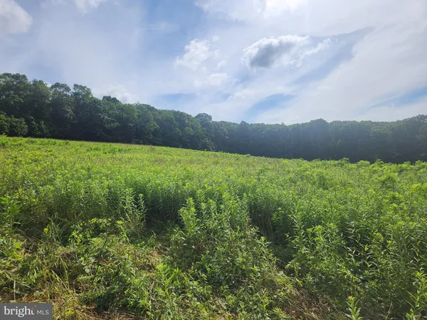 a view of an outdoor space and a yard