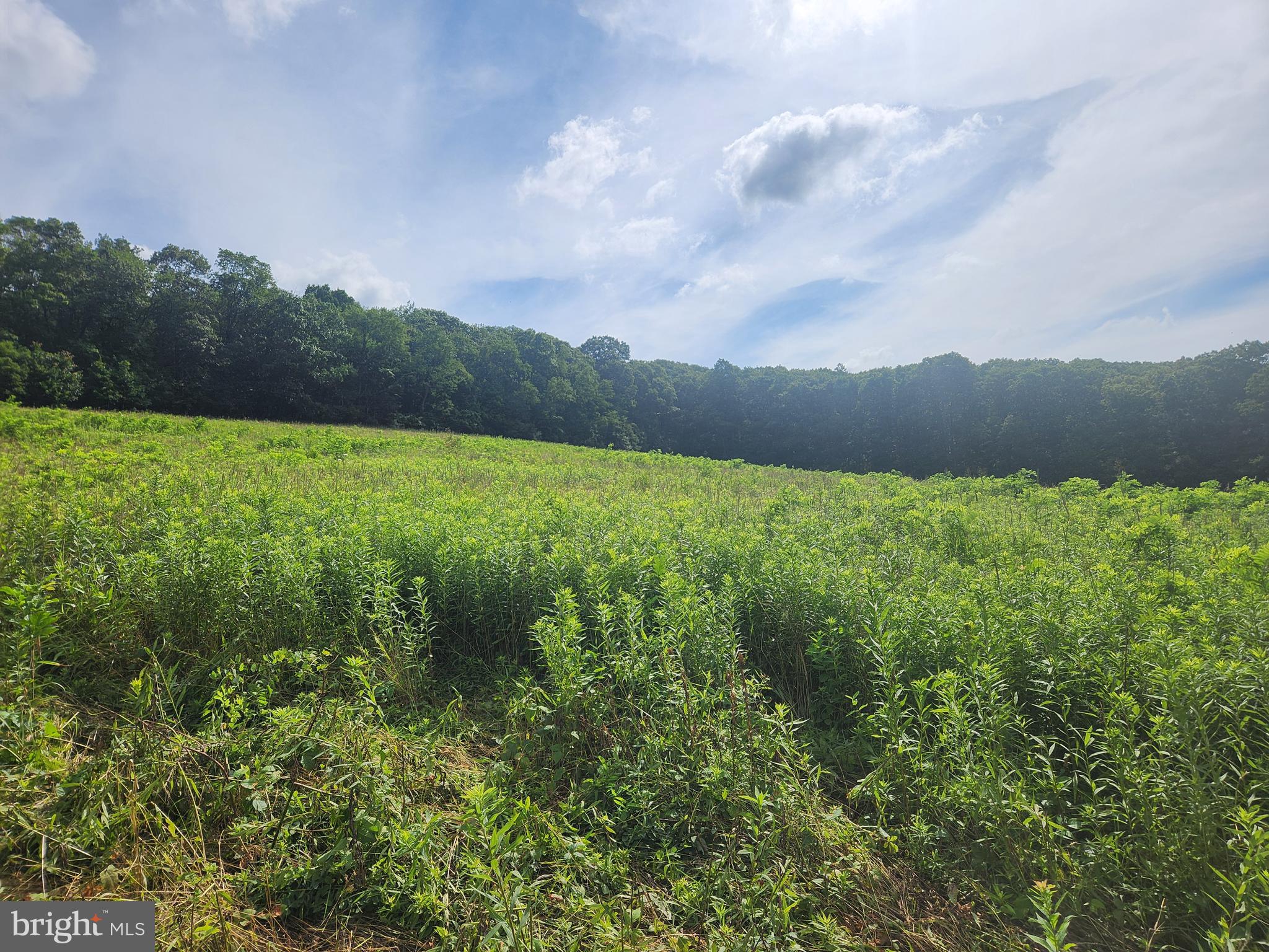 157 Thomas Road Alum Bank, PA 15521 - Photo 6 of 23 a view of an outdoor space and a yard