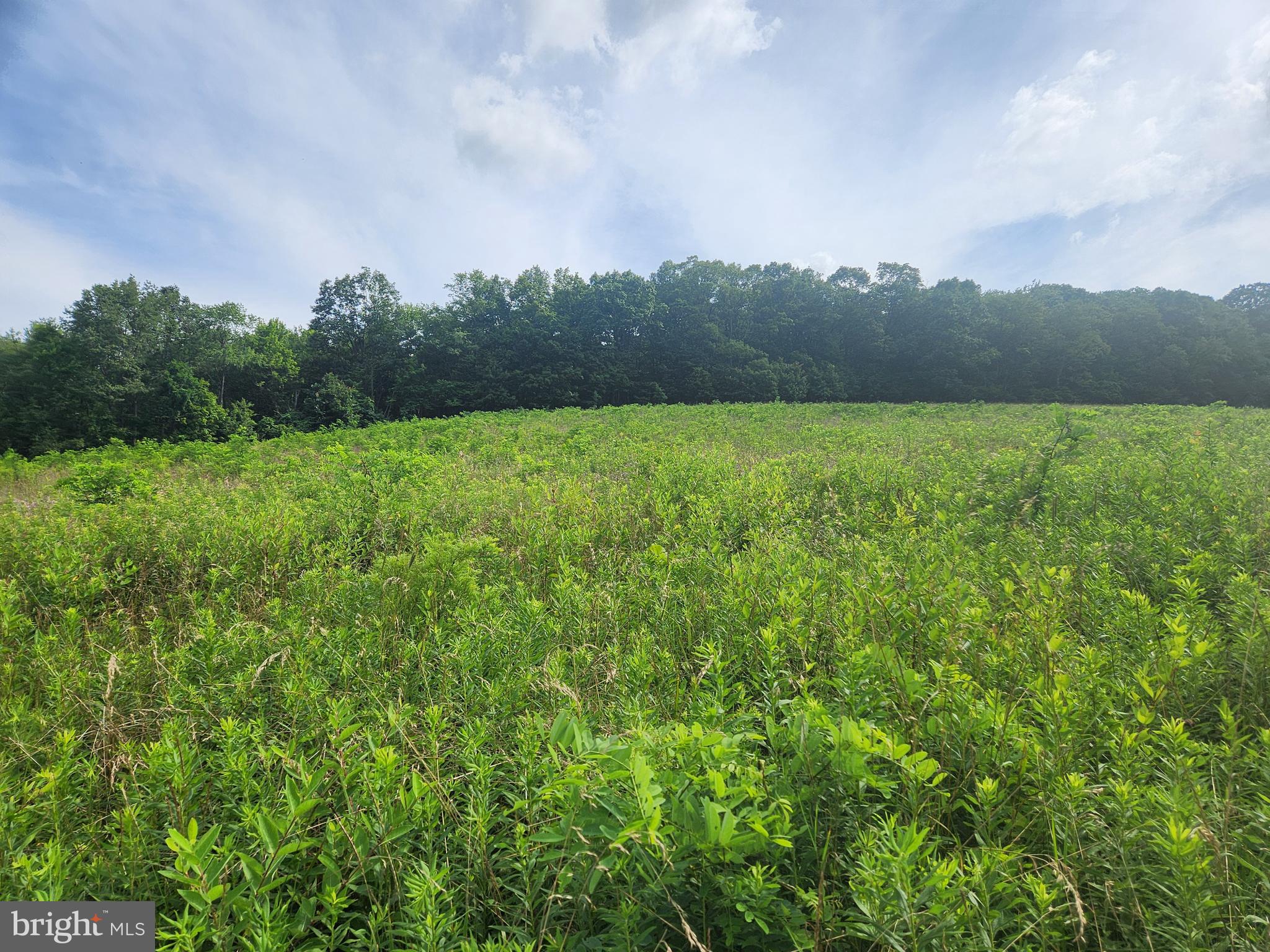 157 Thomas Road Alum Bank, PA 15521 - Photo 7 of 23 a view of an outdoor space and a yard