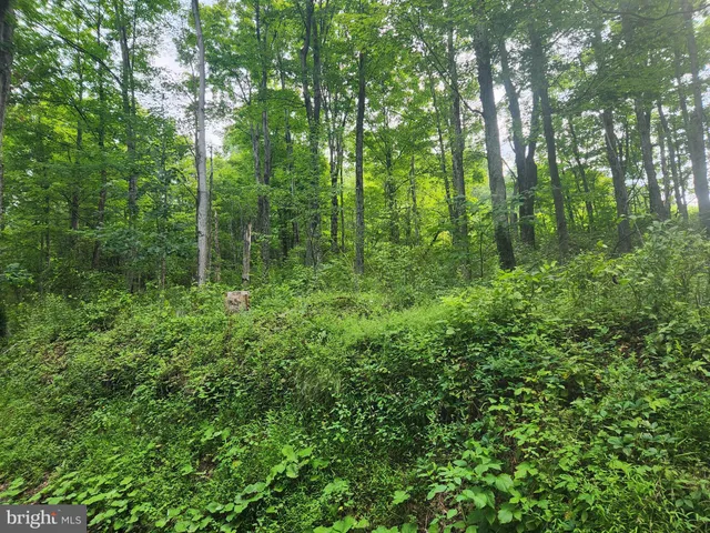 a view of outdoor space and green space