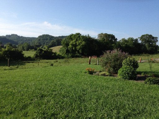 404 Old Dutch Valley Road Clinton, TN 37716 - Photo 25 of 26 Additional Photo