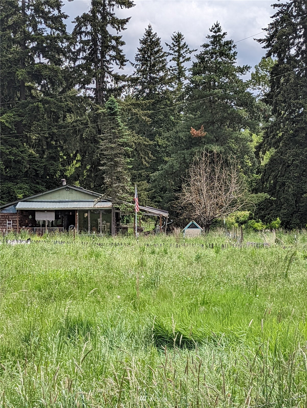 19413 Patterson Road East Orting, WA 98360 - Photo 1 of 7 a view of backyard with green space