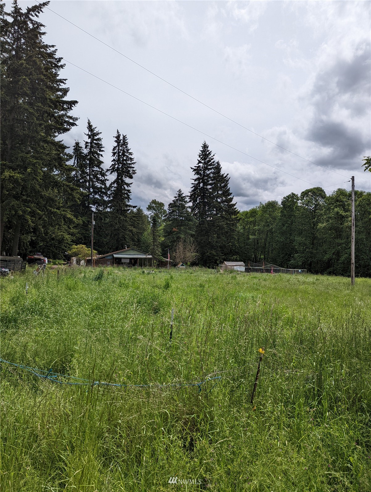 19413 Patterson Road East Orting, WA 98360 - Photo 2 of 7 a view of garden with green space