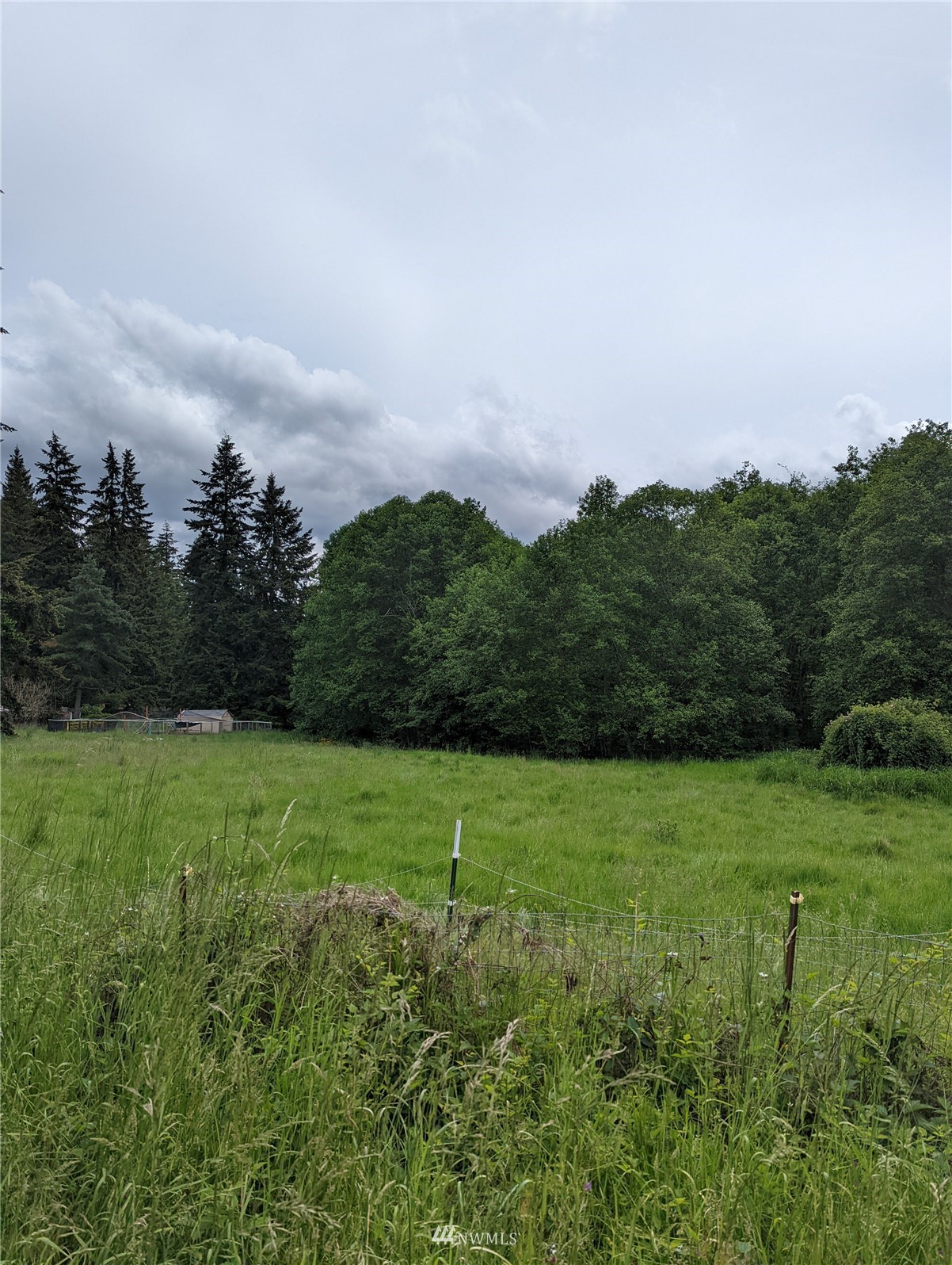 19413 Patterson Road East Orting, WA 98360 - Photo 4 of 7