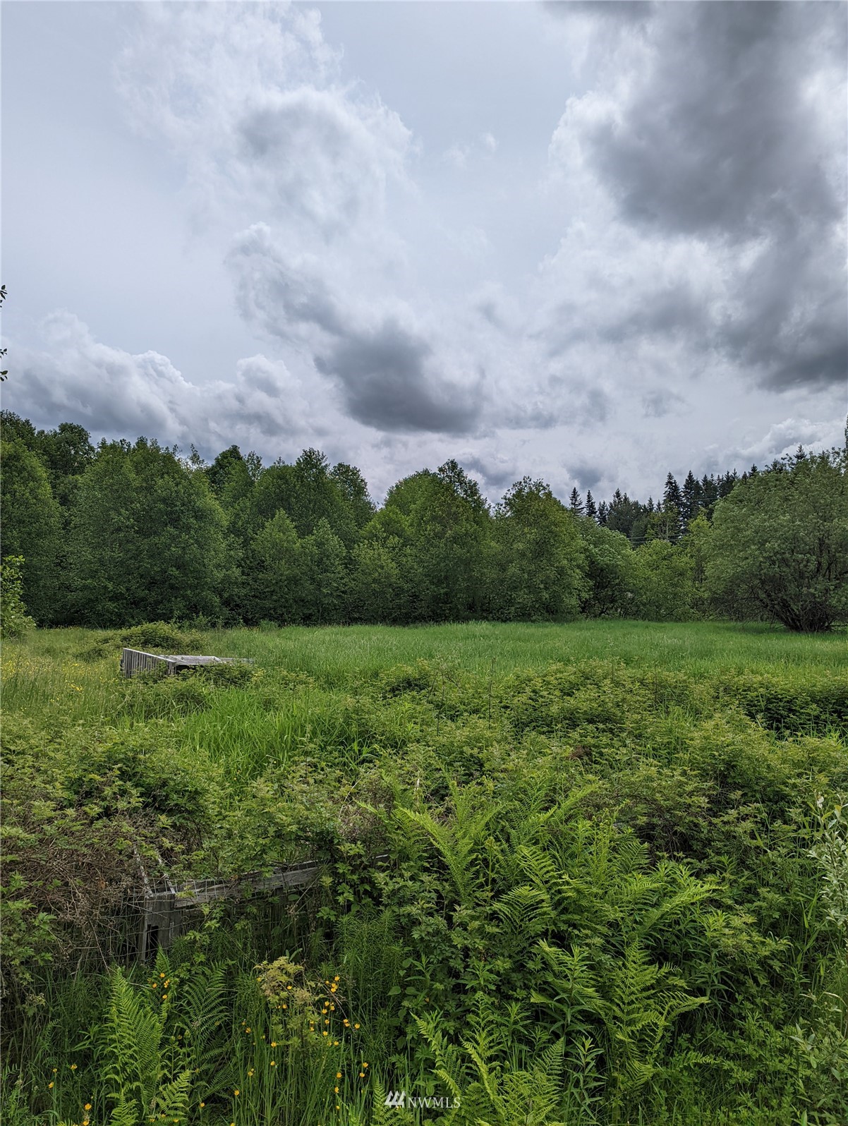19413 Patterson Road East Orting, WA 98360 - Photo 6 of 7 a view of a green field