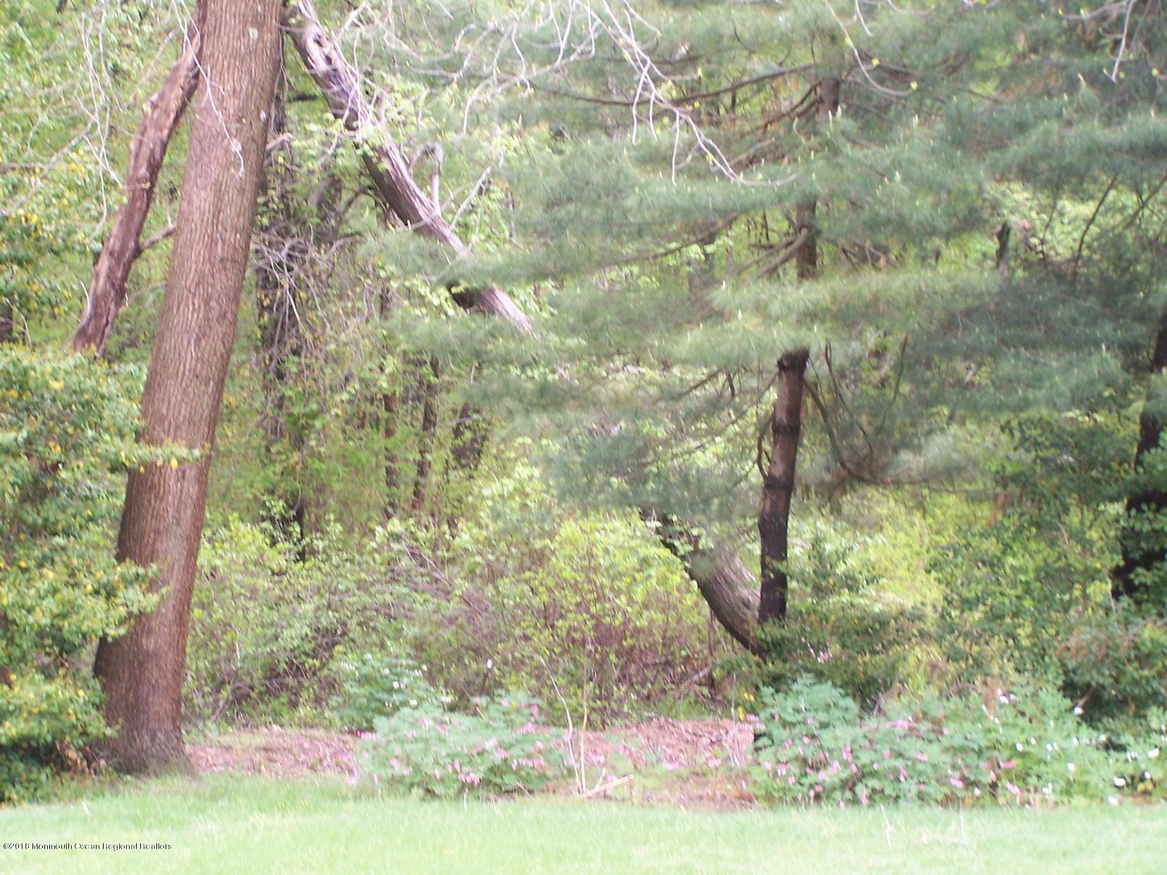 313 Colts Neck Road Farmingdale, NJ 07727 - Photo 13 of 15 100_7772
