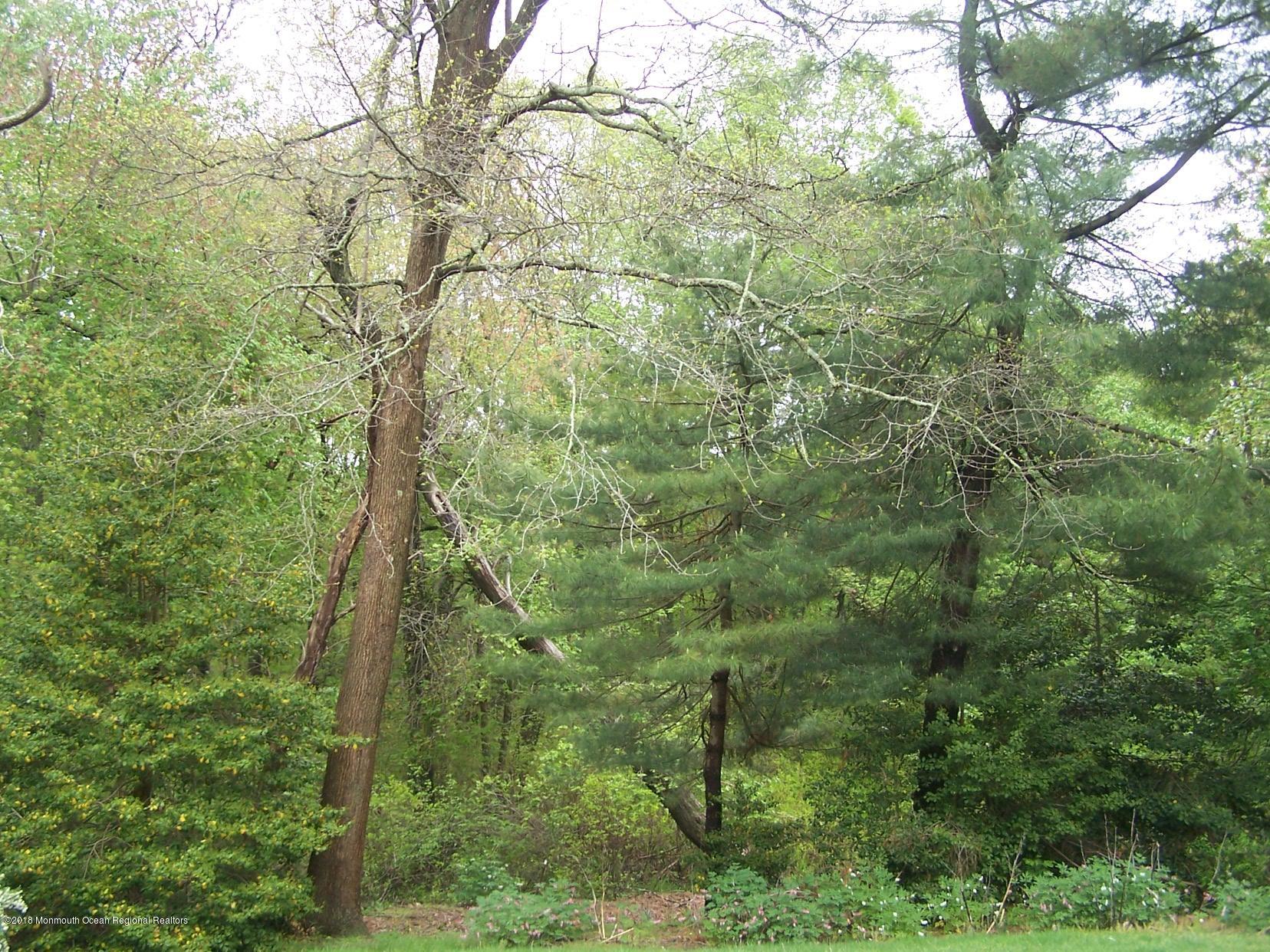 313 Colts Neck Road Farmingdale, NJ 07727 - Photo 14 of 15 100_7773
