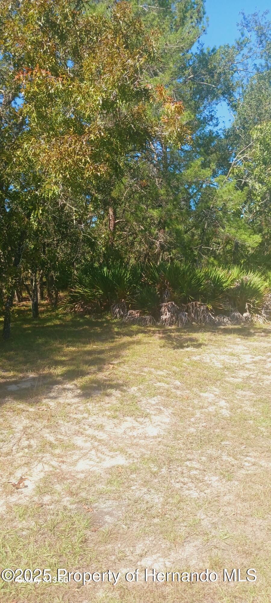 18187 Maberly Road Weeki Wachee, FL 34614 - Photo 6 of 6
