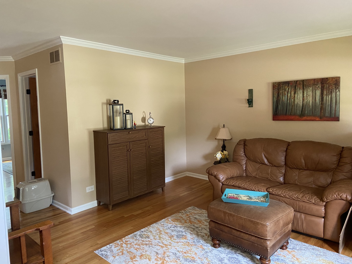 632 Rock Spring Road Naperville, IL 60565 - Photo 3 of 34