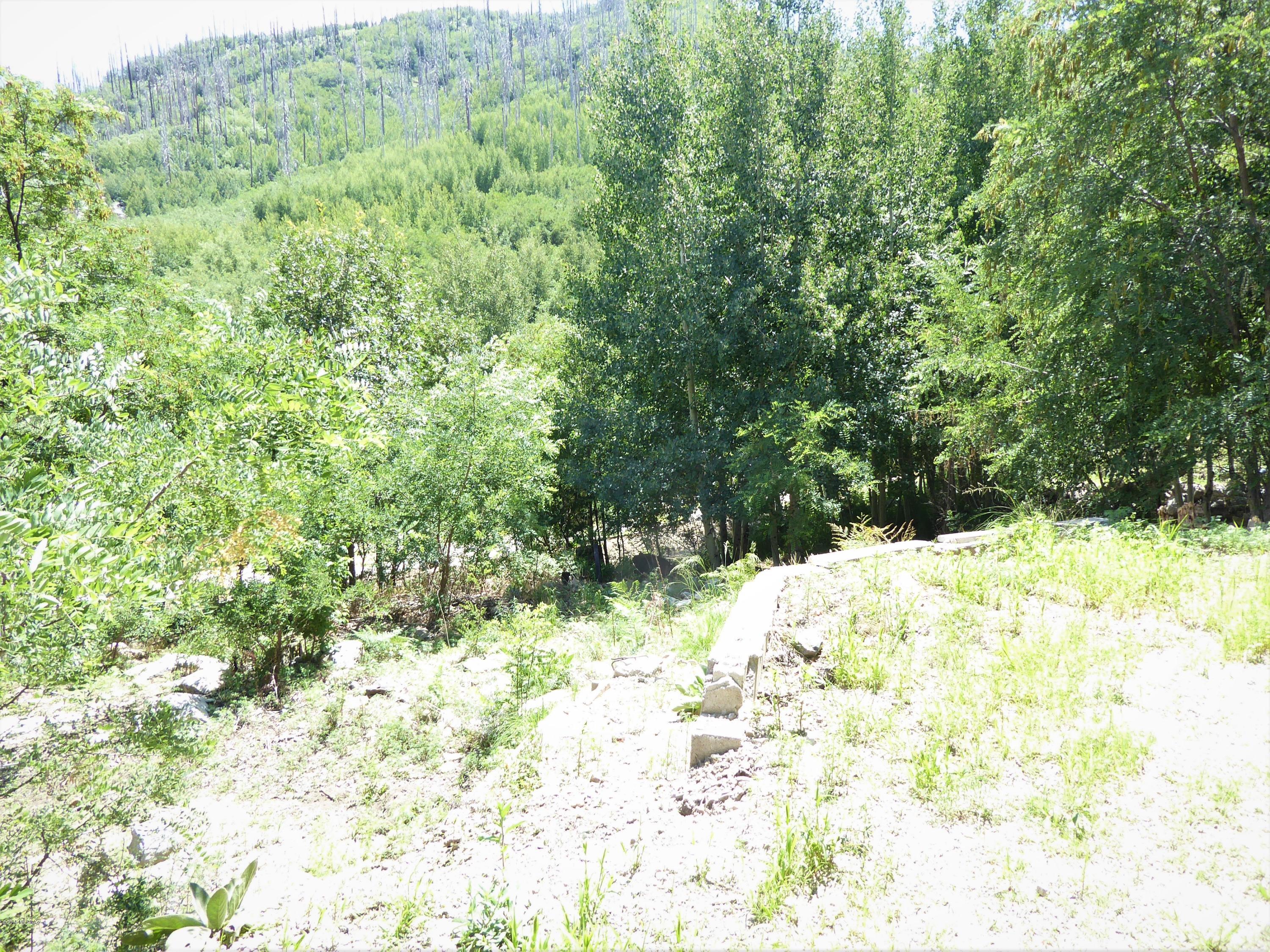 12710 North Miners Ridge Road, Unit 12 Mount Lemmon, AZ 85619 - Photo 3 of 4