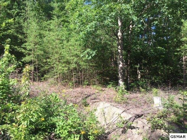 264 Bogard Crk Road Cosby, TN 37722 - Photo 3 of 13