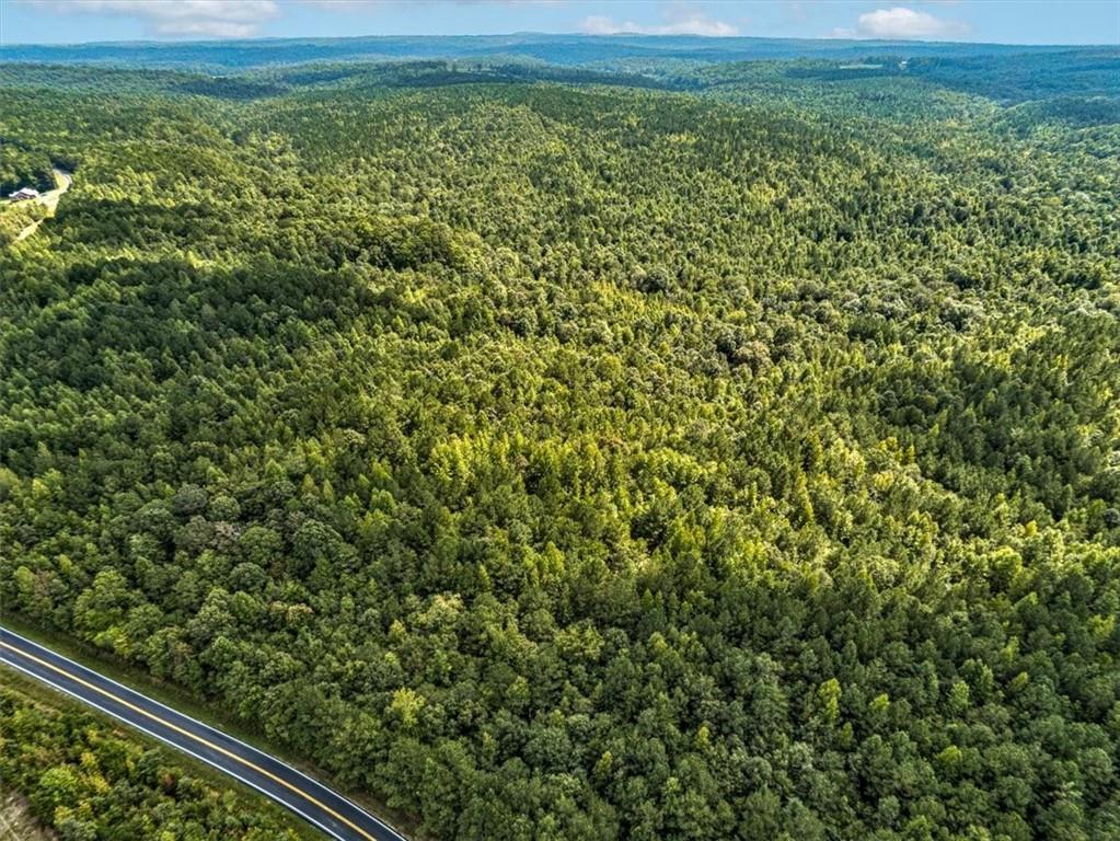 0 Old Ridgeway Road Tallapoosa, GA 30176 - Photo 2 of 3 a view of a yard from a balcony