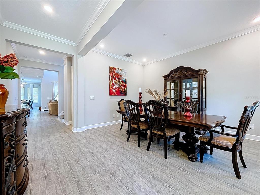 747 Cajeput Loop Tarpon Springs, FL 34689 - Photo 12 of 96