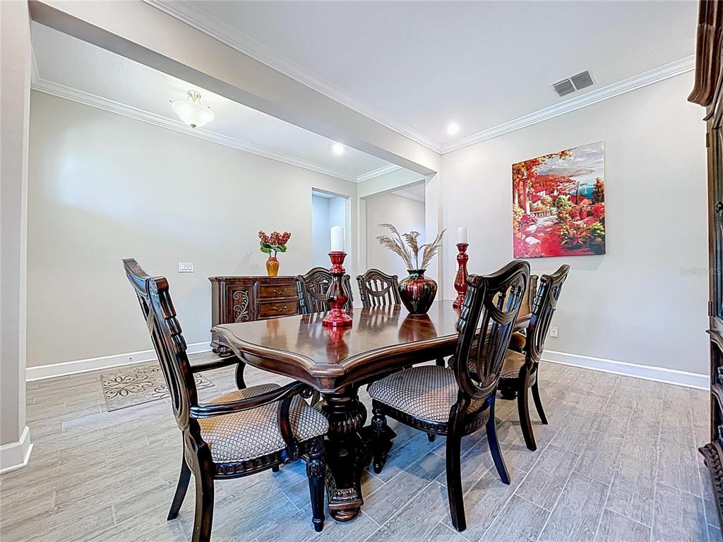 747 Cajeput Loop Tarpon Springs, FL 34689 - Photo 13 of 96