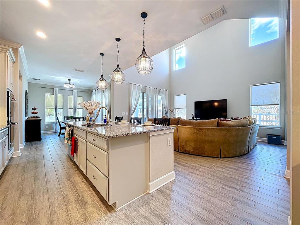 747 Cajeput Loop Tarpon Springs, FL 34689 - Photo 17 of 96