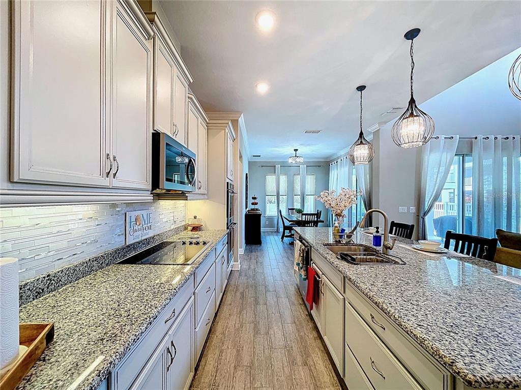 747 Cajeput Loop Tarpon Springs, FL 34689 - Photo 18 of 96