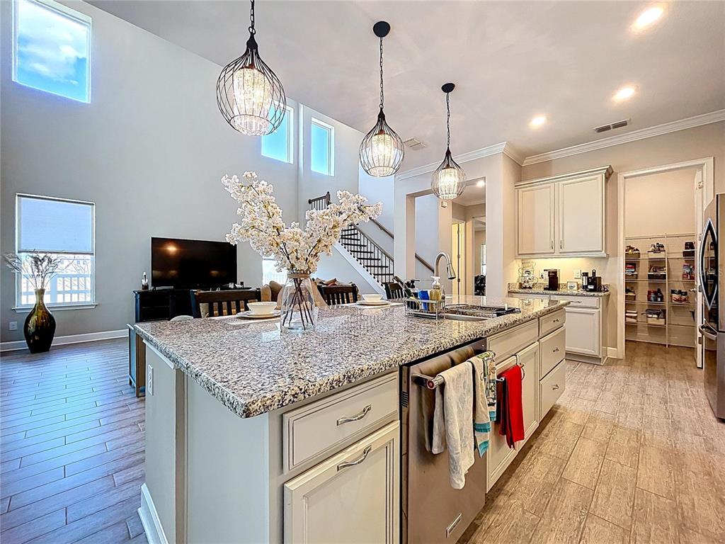 747 Cajeput Loop Tarpon Springs, FL 34689 - Photo 19 of 96