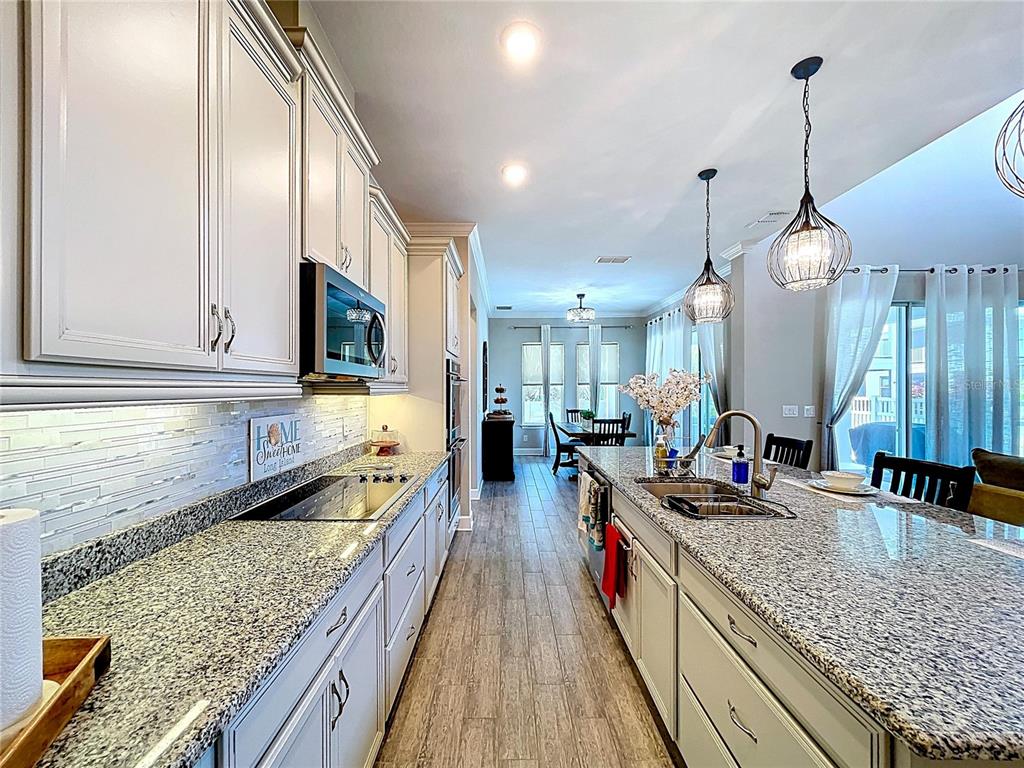 747 Cajeput Loop Tarpon Springs, FL 34689 - Photo 21 of 96