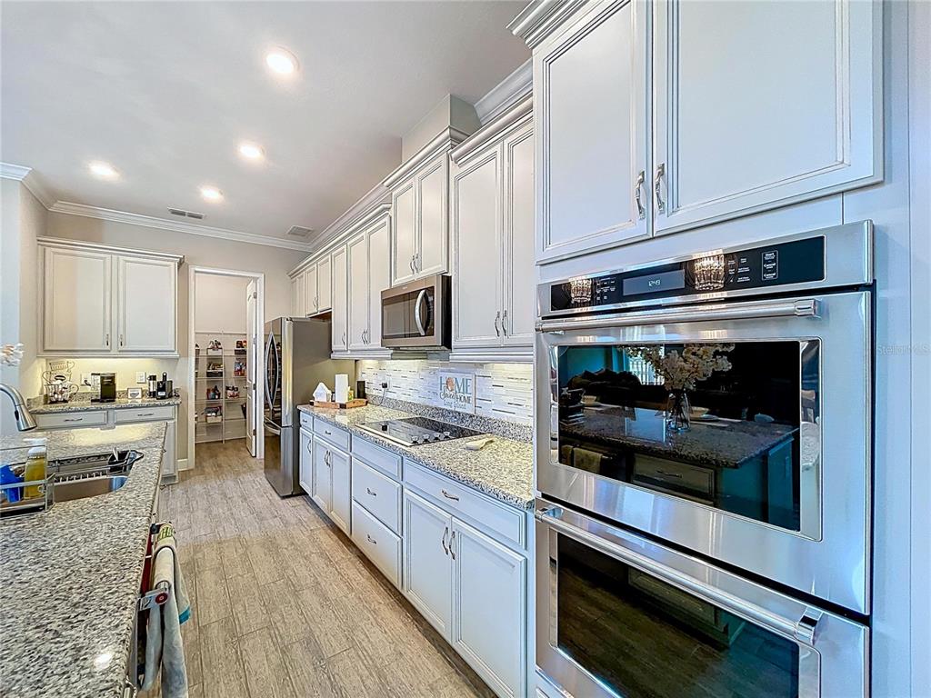 747 Cajeput Loop Tarpon Springs, FL 34689 - Photo 22 of 96