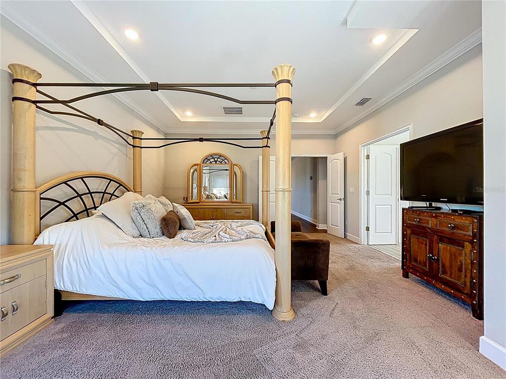 747 Cajeput Loop Tarpon Springs, FL 34689 - Photo 48 of 96