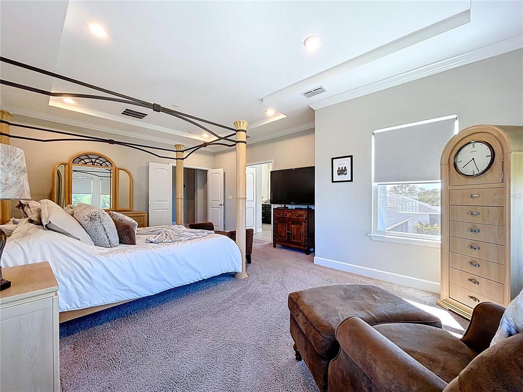 747 Cajeput Loop Tarpon Springs, FL 34689 - Photo 49 of 96