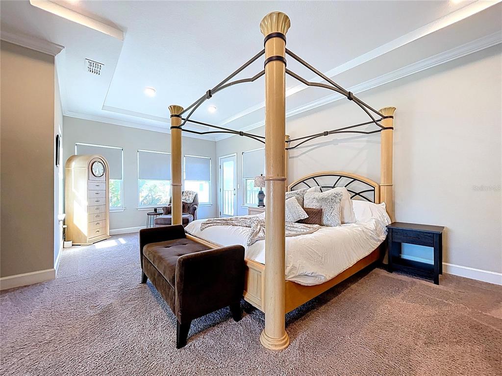 747 Cajeput Loop Tarpon Springs, FL 34689 - Photo 5 of 96