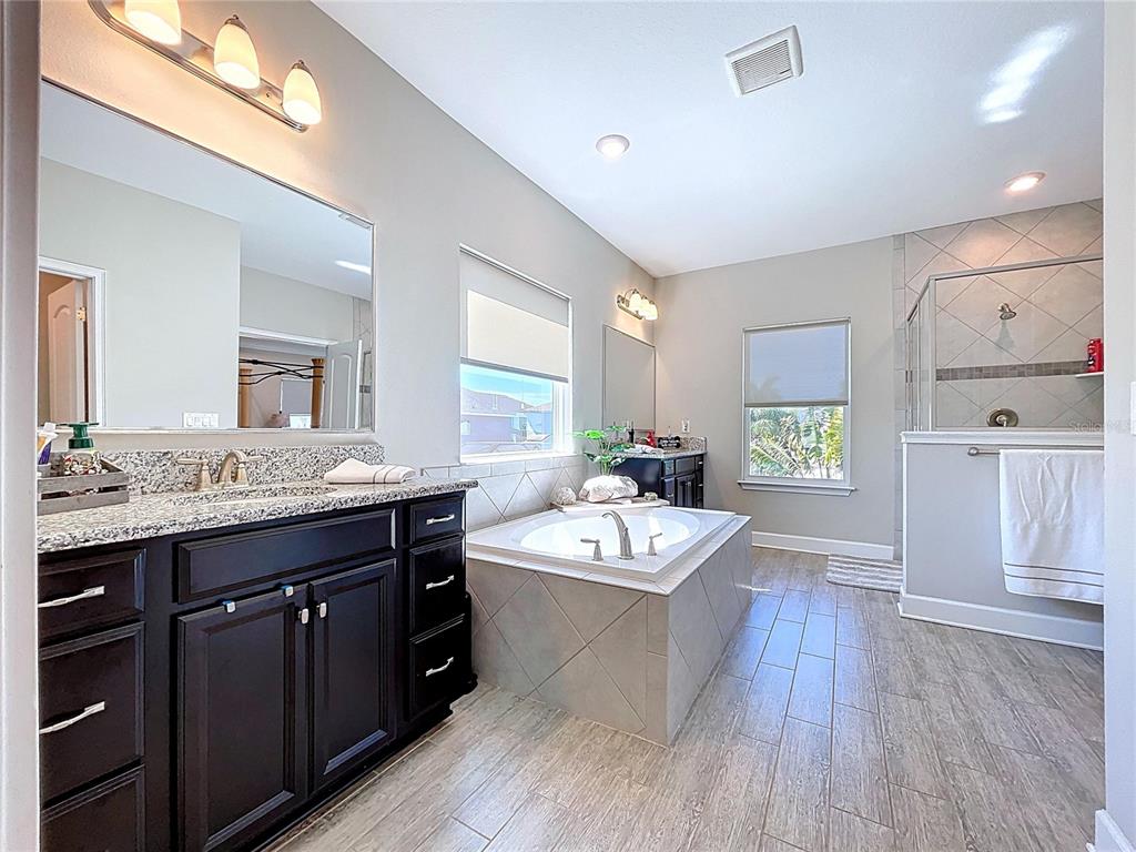 747 Cajeput Loop Tarpon Springs, FL 34689 - Photo 54 of 96
