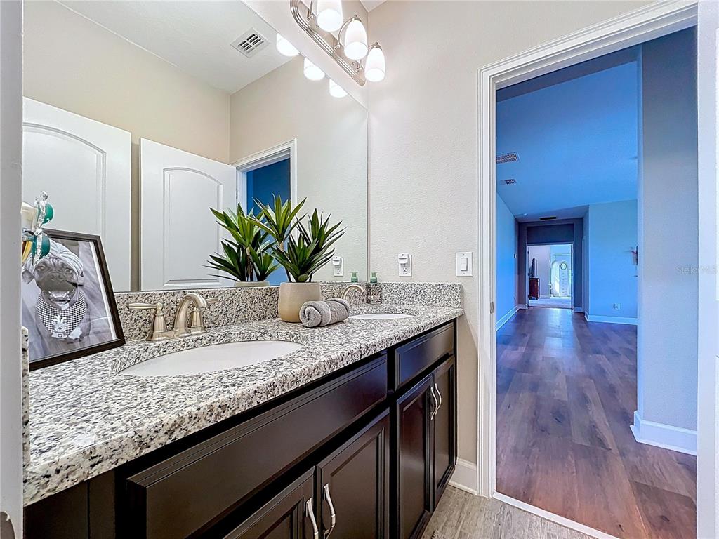 747 Cajeput Loop Tarpon Springs, FL 34689 - Photo 68 of 96