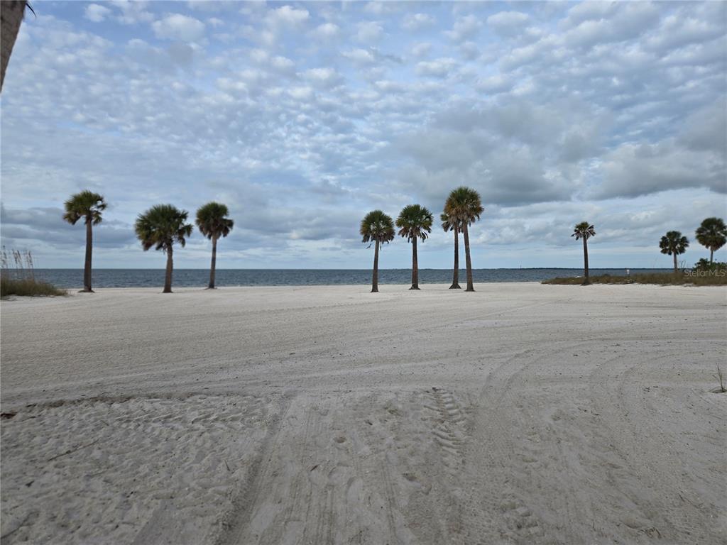 747 Cajeput Loop Tarpon Springs, FL 34689 - Photo 94 of 96