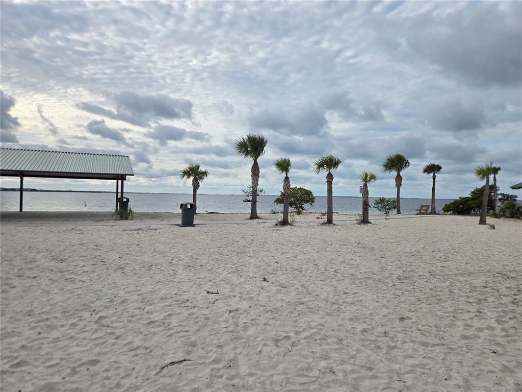 747 Cajeput Loop Tarpon Springs, FL 34689 - Photo 95 of 96