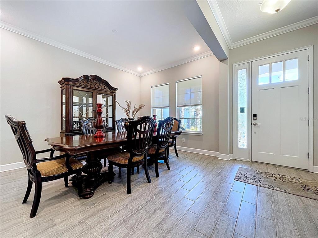 747 Cajeput Loop Tarpon Springs, FL 34689 - Photo 10 of 96