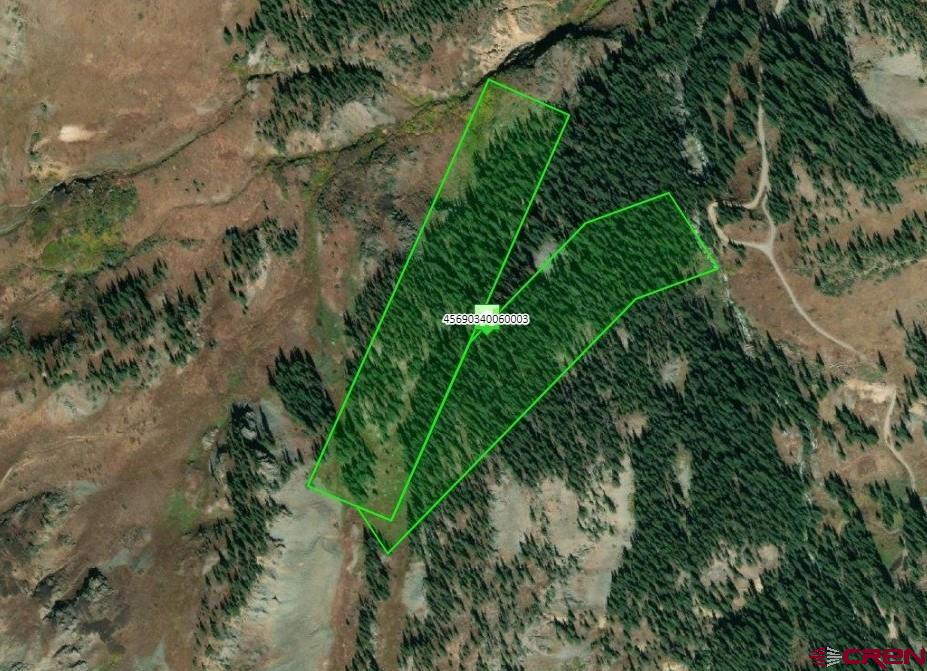 Tbd Tbd Poughkeepsie Gulch Silverton, CO 81433 - Photo 3 of 3 a view of a garden