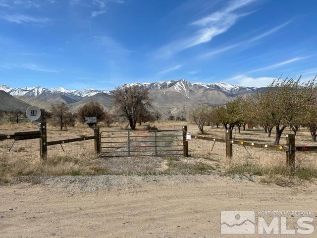 a view of a dry yard with wooden fence