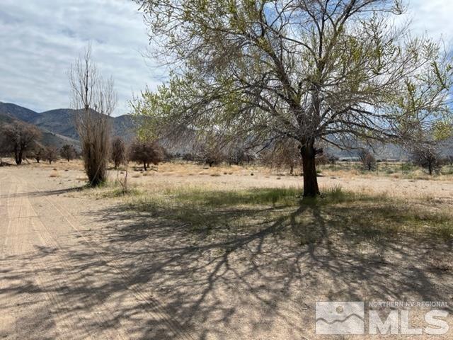 38 Burcham Flat Road Walker, CA 96107 - Photo 11 of 40 a view of a yard with a tree