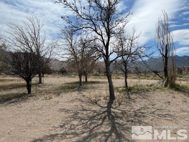 38 Burcham Flat Road Walker, CA 96107 - Photo 13 of 40 a view of a yard covered with snow and trees