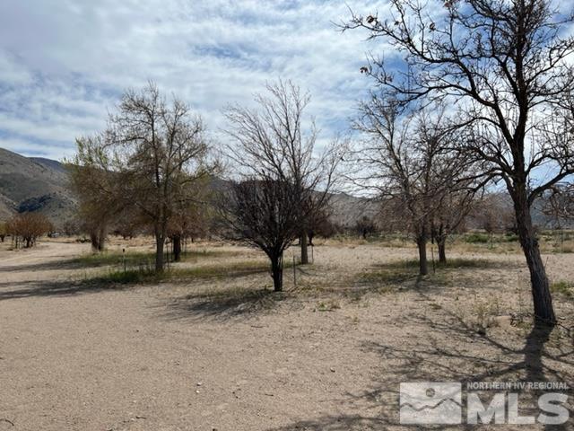 38 Burcham Flat Road Walker, CA 96107 - Photo 14 of 40 a view of road with trees