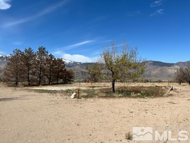38 Burcham Flat Road Walker, CA 96107 - Photo 15 of 40 a view of a yard with a tree